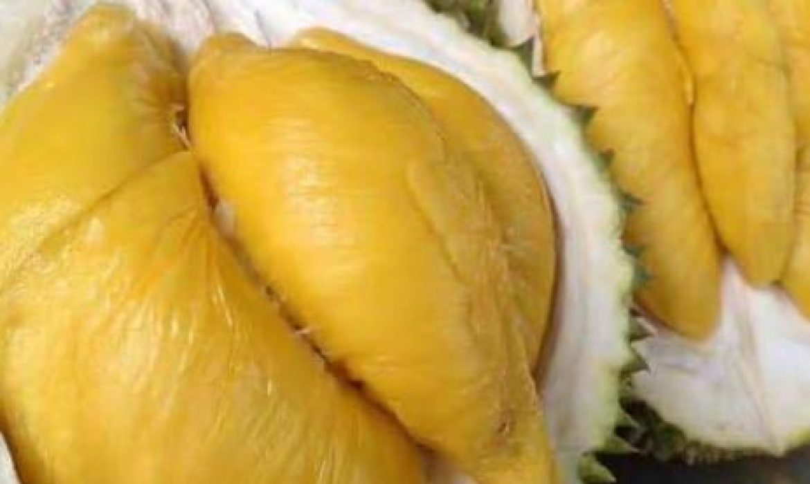 Final Durian Sale For 2019