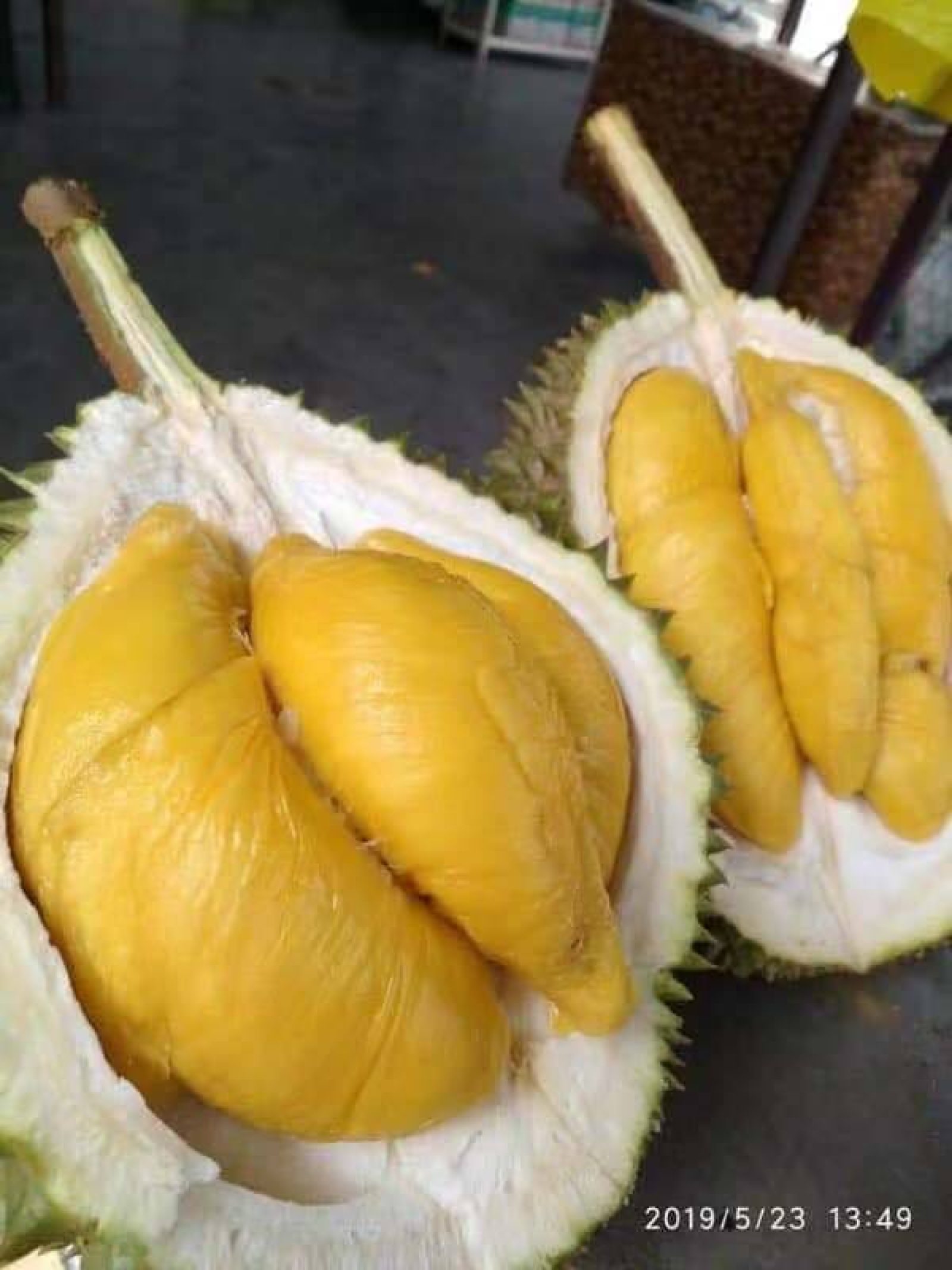 In conjuction with MCQ AGM this Sunday, we will be having “SPECIAL DURIAN SALE”.